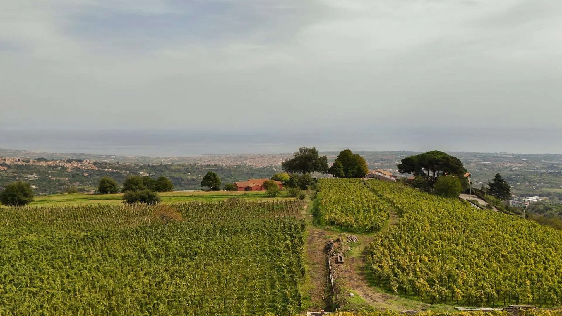 Guest house Contrada Salice Hotel Milo Italy
