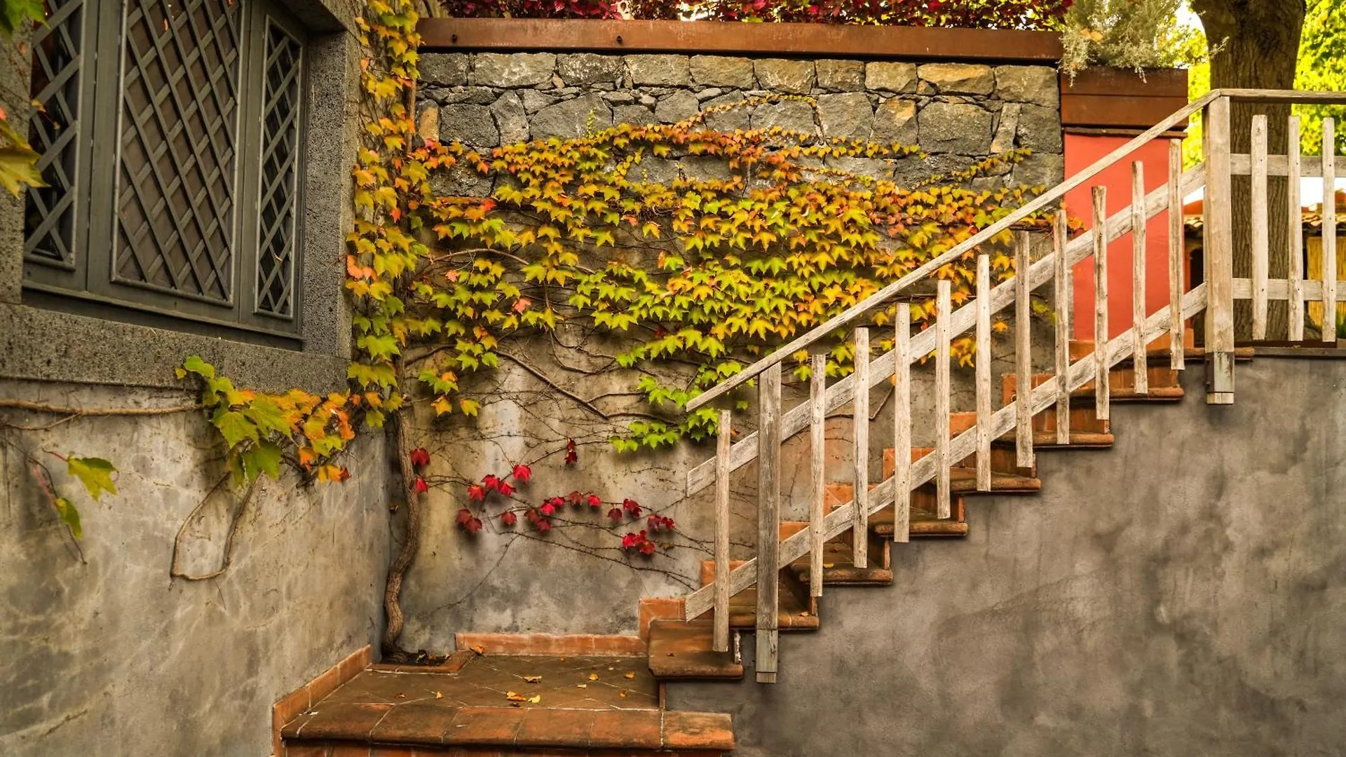 Guest house Contrada Salice Hotel Milo